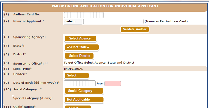 PMEGP Individual apply