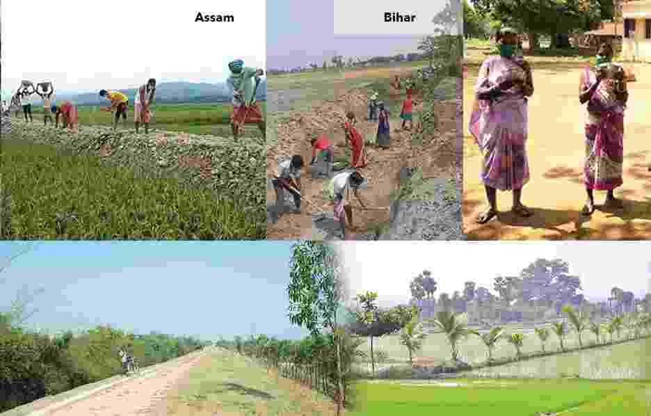 नरेगा जॉब कार्ड लिस्ट 2024 Nrega Job Card List (Download)