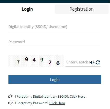 SSO ID Login