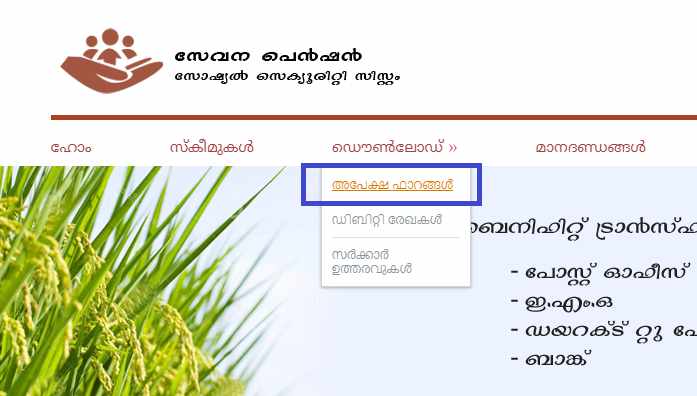 Kerala Widow Pension Scheme online