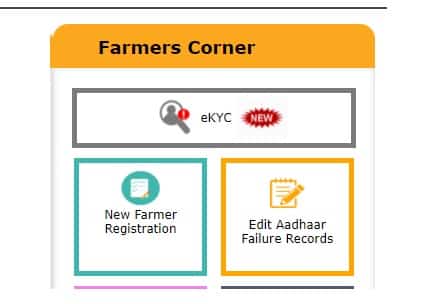 pm kisan ekyc online