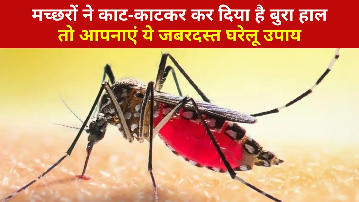 home remedies to get rid of mosquitoes