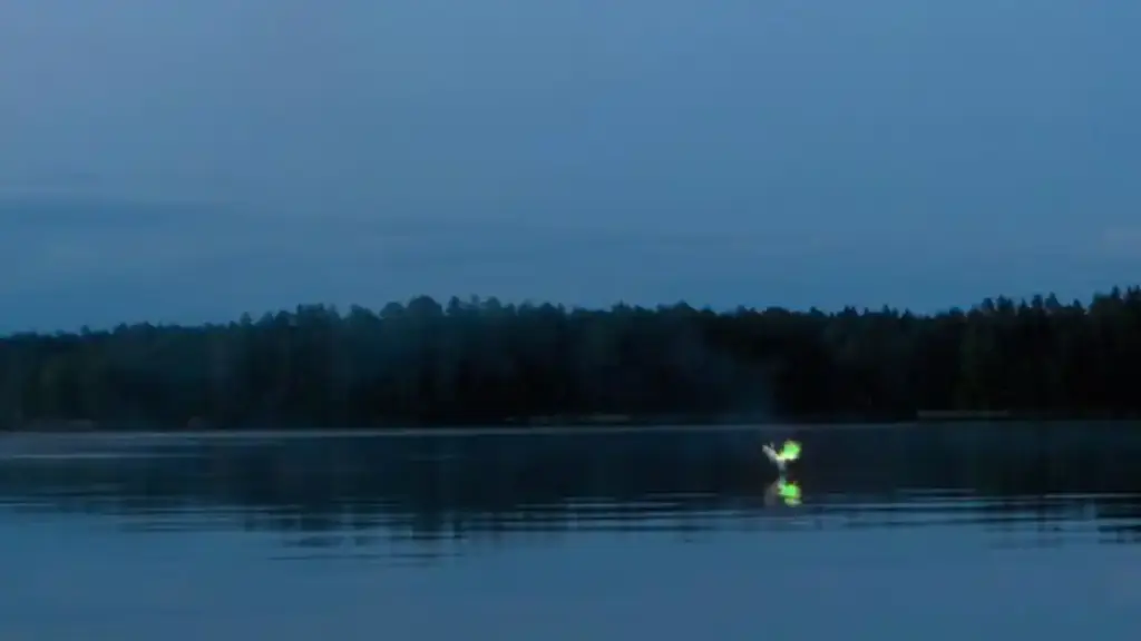 Aleya Ghost Lights, Sundarbans