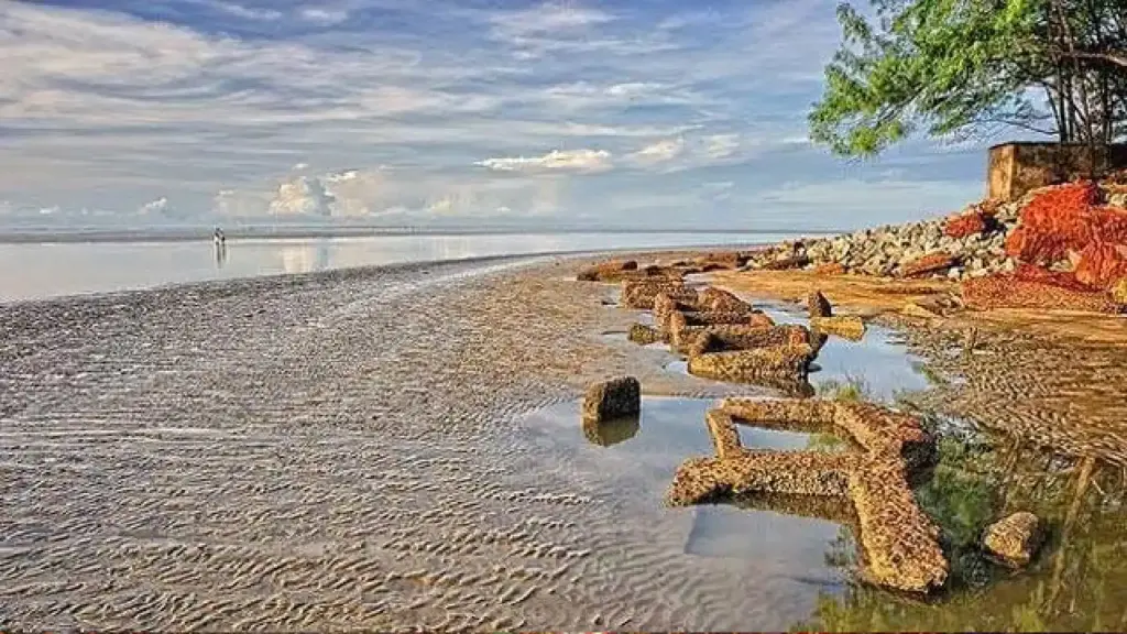 Chandipur Beach, Odisha