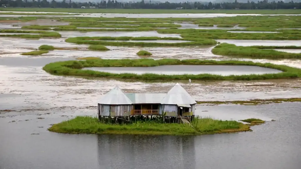 floating island loktak lake manipur